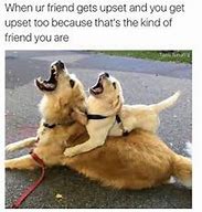 Image result for Go Best Friend Meme