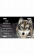 Image result for Zazzle License Plates Wolf