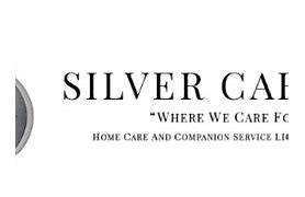 Image result for Silver Care Products