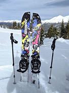 Image result for Splitboard Snowboard