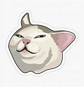 Image result for Ruby Rod Meme Cat