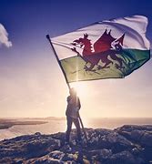 Image result for Welsh Dragon Flag