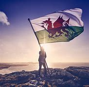 Image result for Welsh Dragon USA Flag