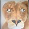 Image result for Simple Lion Drawing Pencil