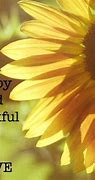 Image result for Thankful to Be Alive Quotes