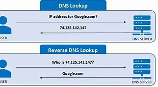 Image result for DNS Lookup