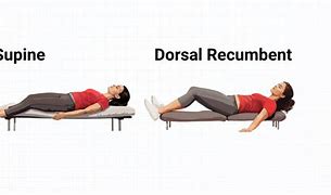 Image result for Dorsal Recumbent Position