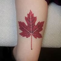 Image result for Maple Leaf Tattoo Ideas