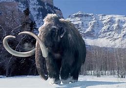 Image result for Ice Age Ireland