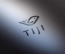 Image result for Tiji France Logo