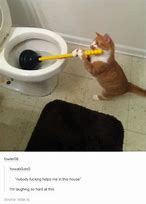 Image result for Funny Cleaning Memes Clean