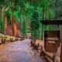 Image result for Sequoia National Park Entrance