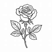 Image result for Drawn Roses Images