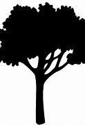 Image result for Oak Tree Shadow