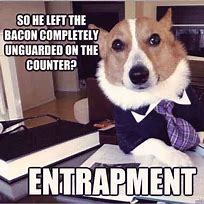 Image result for Dog Attorney Meme