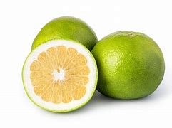 Image result for Citrus Grapefruit Australia