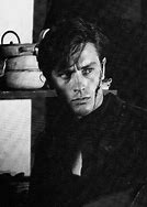 Image result for Alain Delon Black Tulip