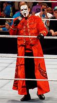 Image result for Sting Wrestler