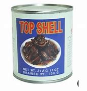 Image result for Sea SHELL Top