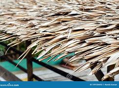 Image result for Palm Thatch Roof