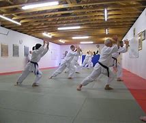 Image result for Gyokushin Aikido