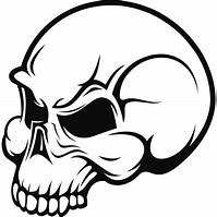 Image result for Modern Skull Art