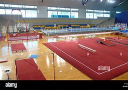 Image result for Sports Dome Qatar