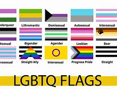 Image result for 100 LGBTQ Flags