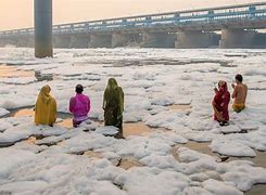 Image result for Water Pollution in Yamuna River