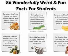 Image result for Weird Fact