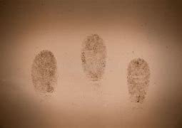 Image result for Forensics Crime Scene Fingerprints