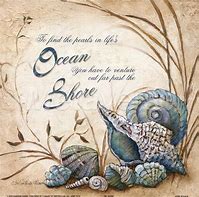 Image result for Seashell Love Sayings