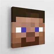 Image result for Face of Steve