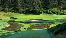 Image result for Gleneagles Golf Course