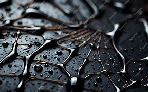 Image result for Spider Web Texture