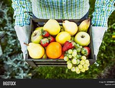 Image result for Fruit Farmer