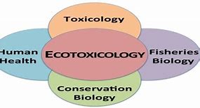 Image result for Ecotoxicology