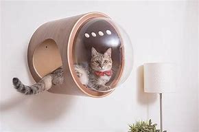 Image result for Cat Spaceship