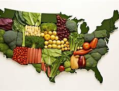 Image result for United States Vegetation Map