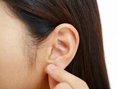 Image result for Asain Man Ear