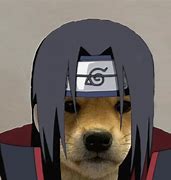 Image result for Baby Meme PFP Dog Anime