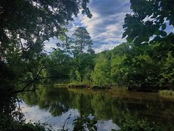 Image result for White Pines Nature Preserve