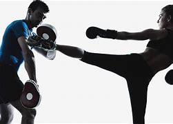 Image result for Kickboxing Pole