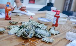 Image result for How to Do a Oyster Roast