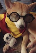 Image result for Funny Harry Potter Costumes