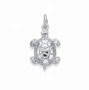 Image result for Openable Turtle Charm