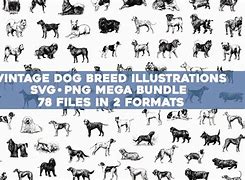 Image result for Dog Breed SVG Bundles