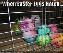 Image result for Funny Easter Religious