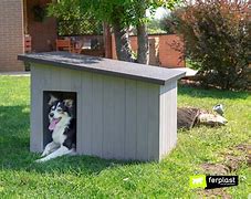 Image result for Outdoor Kennel