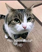 Image result for De Nada Meme